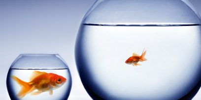 ICBC auto insurance Monopoly